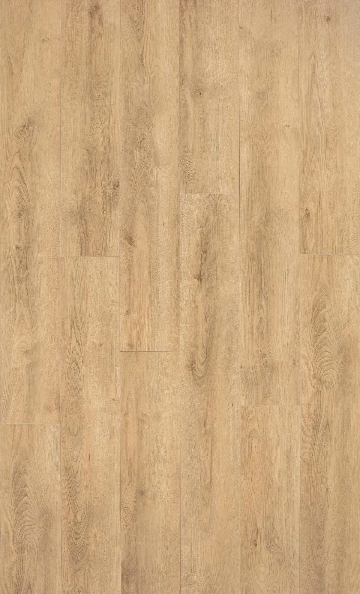 Ламиниран паркет SWISSKRONO SWISS FLOOR D4539 Albit Oak natur 8мм / AC5 33 клас 4V — положена настилка