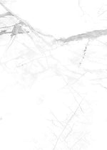 SPC стенни панели Vilo №108164 Calacatta Snow 60x120