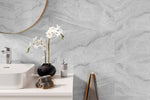 SPC стенни панели Vilo №108166 Ash Grey 60x120