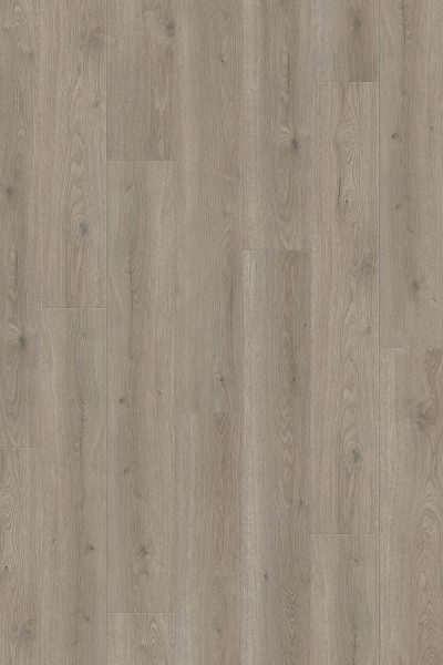 Haro №544702 Дъб Флавия сив