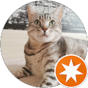 Teodora Anastasova profile picture